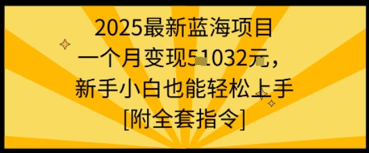 2025最新蓝海项目一个月变现1w+新手小白也能轻松上手【附全套指令】-shlyzo