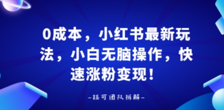 0成本，小红书最新玩法，小白无脑操作，快速涨粉变现-shlyzo