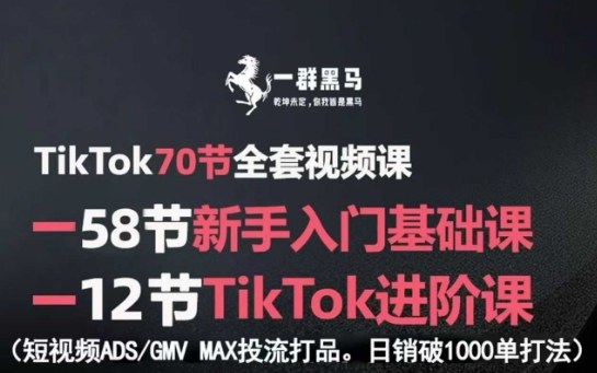 TikTok全套视频课，新手入门+进阶课，短视频ADS-GMV MAX投流打品，日销破1000单打法-shlyzo