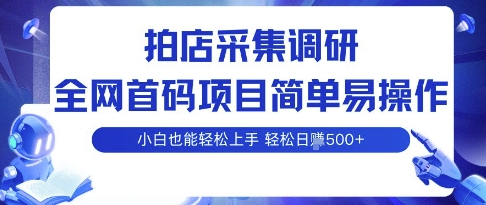 拍店采集调研，全网首码项目，简单易操作， 小白也能轻松上手，多账号操作，轻松日入5张【揭秘】-shlyzo