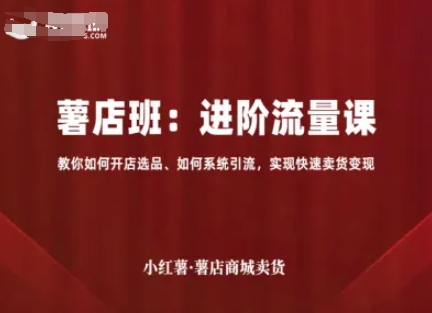 小红薯薯店商城卖货，进阶流量课，教你如何开店选品、如何系统引流，实现快速卖货变现-shlyzo