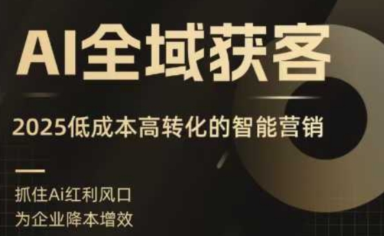 AI全域获客实训营，2025低成本高转化的智能营销，精准找客，高效营销-shlyzo