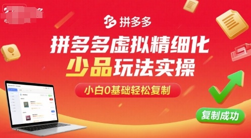 拼多多虚拟精细化少品玩法实操，小白0基础轻松复制-shlyzo