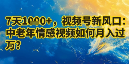 7天收益1k+，视频号新风口：中老年情感视频如何月入过W?-shlyzo