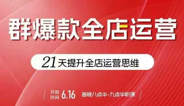 贾真电商群爆款全店运营，21天提升全店运营思维，起店、全店运营爆款不断-shlyzo
