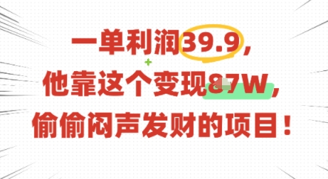 一单利润39.9，有人靠这个变现几十个，偷偷闷声发财的项目-shlyzo