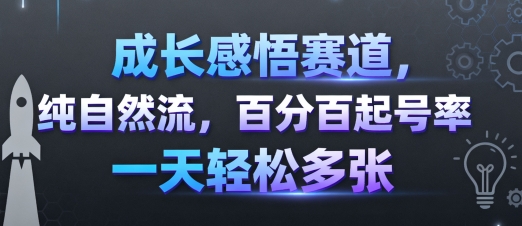 成长感悟赛道，纯自然流，百分百起号率 一天轻松多张-shlyzo