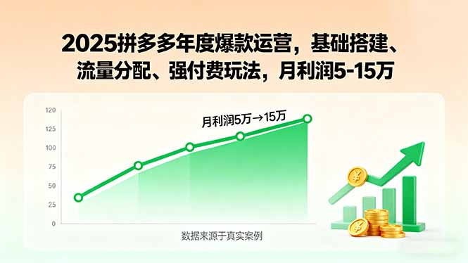 2025拼多多年度爆款运营，基础搭建、流量分配、强付费玩法，月利润5-15万-shlyzo