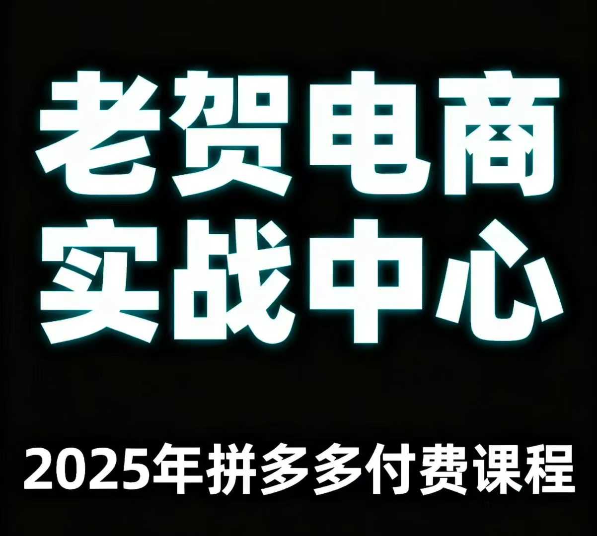 老贺电商2025年拼多多付费课程，用通俗易懂的方法告诉你多多怎么玩-shlyzo