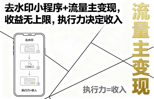 去水印小程序+流量主变现，收益无上限，执行力决定收入-shlyzo