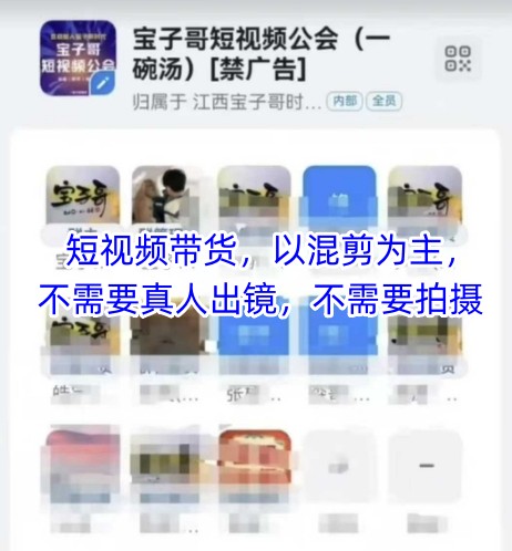宝子哥头部团队短视频带货，以混剪为主，不需要真人出镜，不需要拍摄【更新9月】-shlyzo