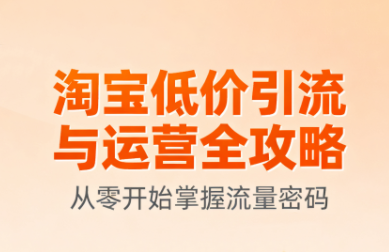 淘宝低价引流与运营全攻略(更新9月)-shlyzo