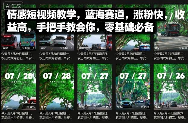 情感短视频教学，蓝海赛道，涨粉快，收益高，手把手教会你，零基础必备-shlyzo