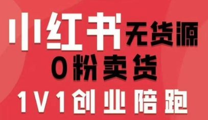 小红书无货源0粉电商课，开店准备、选品策略、笔记撰写、视频剪辑、数据分析、账号打造、资料文档-shlyzo