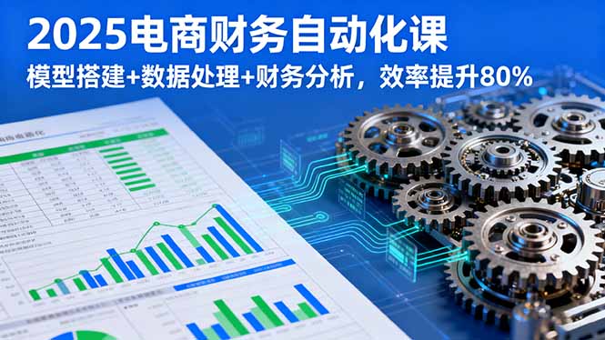 2025电商财务自动化课，模型搭建+数据处理+财务分析，效率提升80%-shlyzo