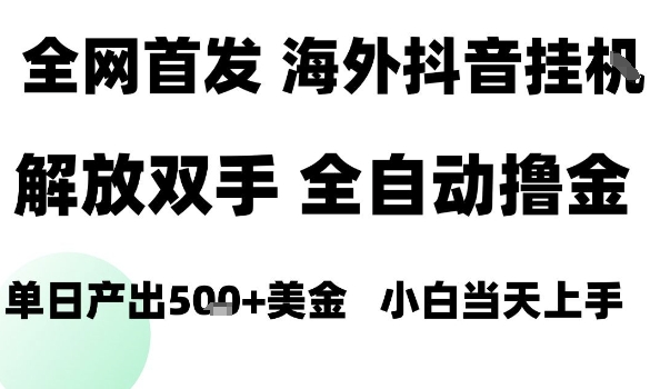 海外抖音无人直播，单日产出1.5k+，长期稳定，新手可玩，无脑操作【揭秘】-shlyzo
