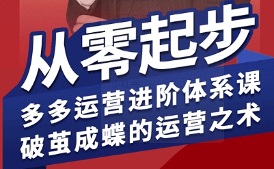拼多多运营进阶系统课，从零起步，多多运营进阶体系课，破茧成蝶的运营之术(更新9月)-shlyzo