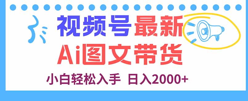 视频号最新AI图文带货，每天几分钟，小白轻松入手，日入2000+-shlyzo