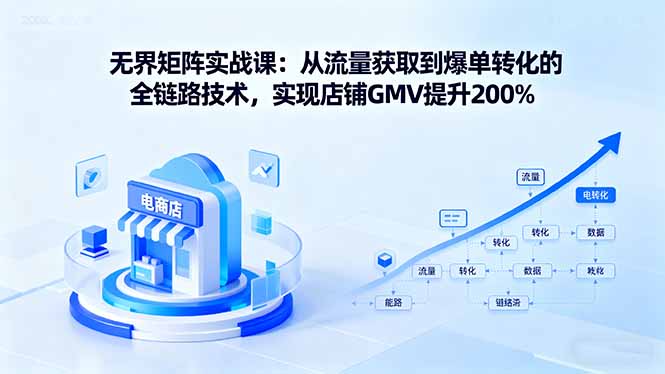 无界矩阵实战课：从流量获取到爆单转化的全链路技术，实现店铺GMV提升200%-shlyzo