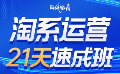白凤电商·淘系运营21天速成班(更新9月)-shlyzo