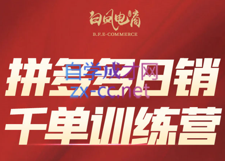 白凤电商·拼多多日销千单训练营(更新9月)-shlyzo