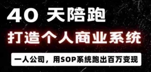 40天陪跑打造个人商业系统，一人公司，用SOP系统跑出百W变现-shlyzo