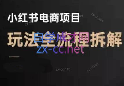 菲菲老师·小红书电商玩法(更新9月)-shlyzo