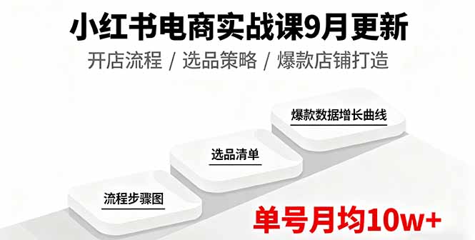 小红书电商实战课9月更新，开店流程/选品策略/爆款店铺打造，单号月均10w+-shlyzo