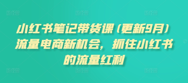 小红书笔记带货课(更新25年9月)流量电商新机会，抓住小红书的流量红利-shlyzo