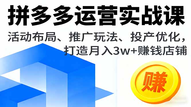 拼多多运营实战课，活动布局、推广玩法、投产优化，打造月入3w+赚钱店铺-shlyzo