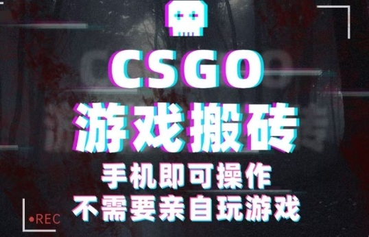 CSGO游戏挂G捡漏，单日扫货5张+，年底小高峰上车可吃肉，手机即可操作，兼职副业创业网创【揭秘】-shlyzo