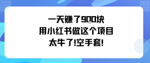 一天挣了9张用小红书做这个项目太牛了，空手套-shlyzo